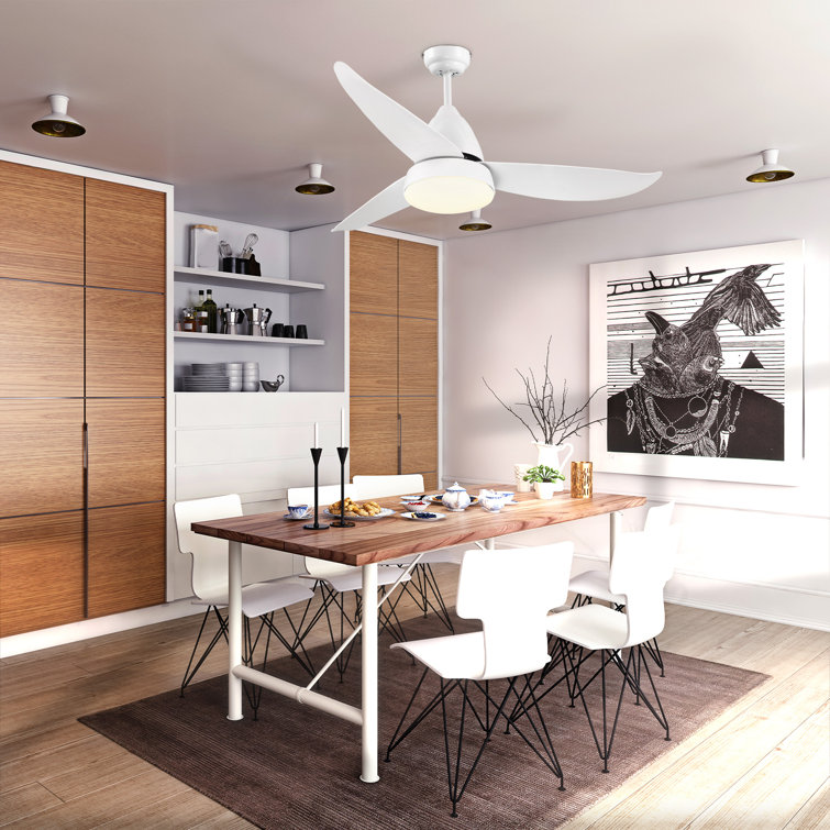 Wayfair white ceiling fan store with light